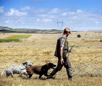 1.700 licencias de arma retiradas por violencia o antecedentes