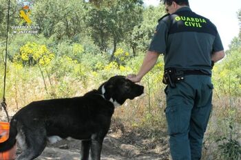 Investigan al dueño de un perro por un delito maltrato animal