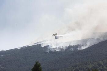 Primera reforestación de la zona incendiada en La Granja