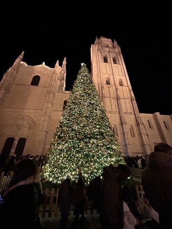 Encendido del árbol de Navidad de la Catedral