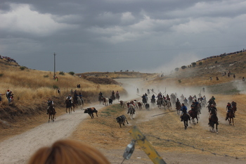 Cuéllar cierra las fiestas con un desigual ciclo de encierros