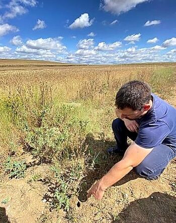 Agricultura llama a usar medidas frente a los topillos