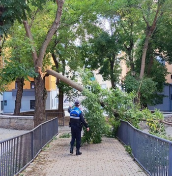 La borrasca Kirk deja un herido y ocho emergencias en Segovia