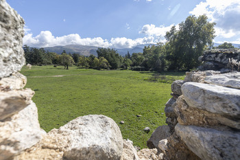 Piden suspender la subasta de una parcela en La Granja