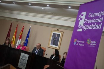 El Consejo Provincial de Igualdad hace balance de 2024