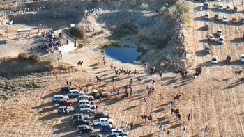 Dos novillos no entran en la plaza en el encierro de Carbonero