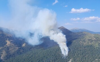 Controlado y en Nivel 0 el incendio forestal de El Espinar