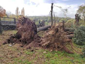 La DANA deja coches aplastados y árboles caídos en El Espinar