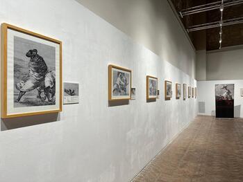 El arte de Goya en una muestra de fotografías de La Alhóndiga
