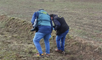 El dueño de los perros que mataron a una joven, a la cárcel