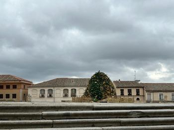 El viento derriba el árbol de Navidad de la Catedral