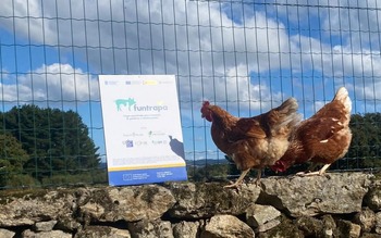 Hongos para mejorar la salud de los animales