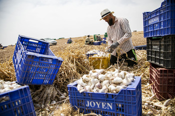 El SMI supera a la renta agraria